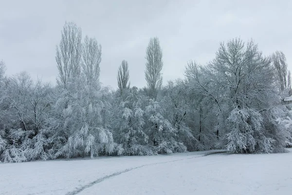 保加利亚索菲亚市南部公园令人惊奇的冬季景观 — 图库照片