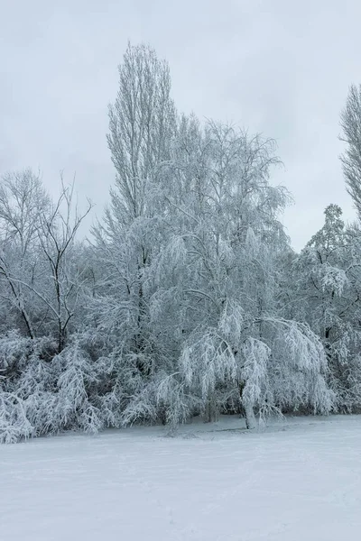 Paisagem Inverno Incrível South Park Cidade Sofia Bulgária — Fotografia de Stock