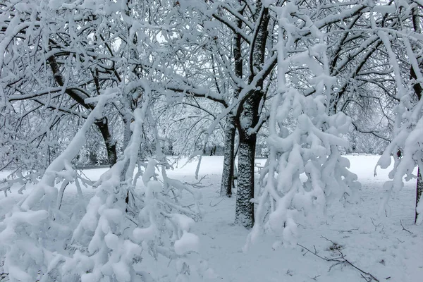 Paisagem Inverno Incrível South Park Cidade Sofia Bulgária — Fotografia de Stock