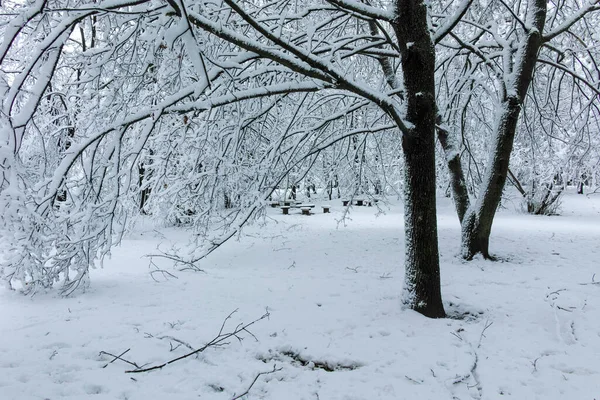 Amazing Winter Landscape South Park City Sofia Bulgaria — Stock Photo, Image