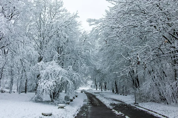 Niesamowity Zimowy Krajobraz South Parku Mieście Sofia Bułgaria — Zdjęcie stockowe