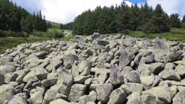 Morenite 'in hava manzarası (Moraines) - Bulgaristan' ın Sofya Şehir Bölgesi 'ndeki Vitosha Dağı' nda taş nehir