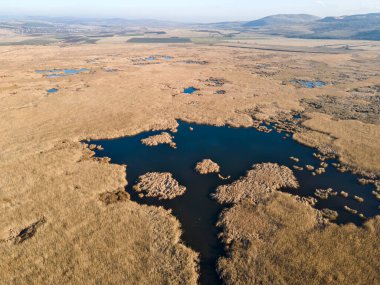 Bulgaristan 'ın Sofya bölgesindeki Dragoman bataklığının havadan sonbahar manzarası