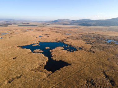 Bulgaristan 'ın Sofya bölgesindeki Dragoman bataklığının havadan sonbahar manzarası