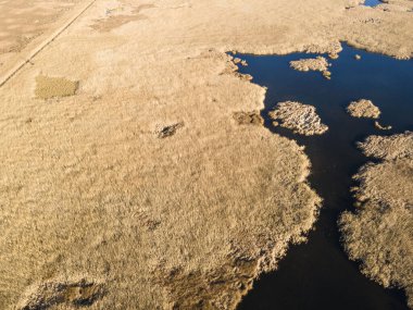 Bulgaristan 'ın Sofya bölgesindeki Dragoman bataklığının havadan sonbahar manzarası