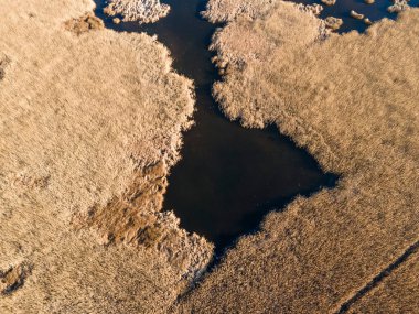 Bulgaristan 'ın Sofya bölgesindeki Dragoman bataklığının havadan sonbahar manzarası