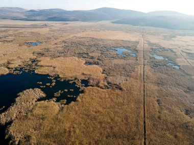 Bulgaristan 'ın Sofya bölgesindeki Dragoman bataklığının havadan sonbahar manzarası