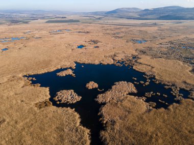 Bulgaristan 'ın Sofya bölgesindeki Dragoman bataklığının havadan sonbahar manzarası