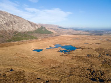 Bulgaristan 'ın Sofya bölgesindeki Dragoman bataklığının havadan sonbahar manzarası