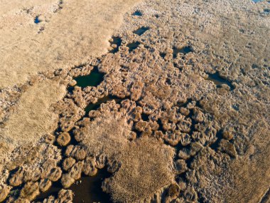 Bulgaristan 'ın Sofya bölgesindeki Dragoman bataklığının havadan sonbahar manzarası