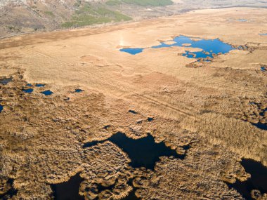 Bulgaristan 'ın Sofya bölgesindeki Dragoman bataklığının havadan sonbahar manzarası
