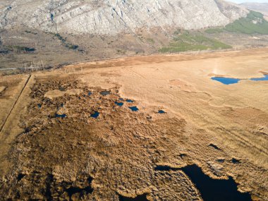 Bulgaristan 'ın Sofya bölgesindeki Dragoman bataklığının havadan sonbahar manzarası