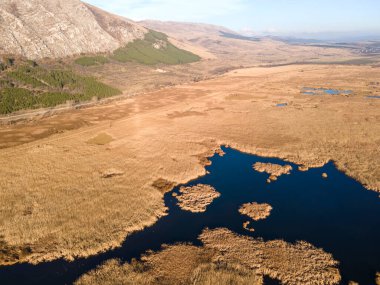 Bulgaristan 'ın Sofya bölgesindeki Dragoman bataklığının havadan sonbahar manzarası