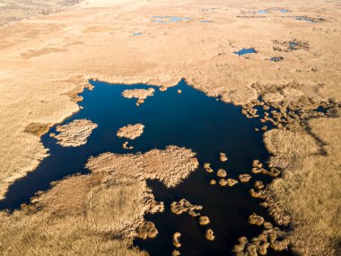 Bulgaristan 'ın Sofya bölgesindeki Dragoman bataklığının havadan sonbahar manzarası