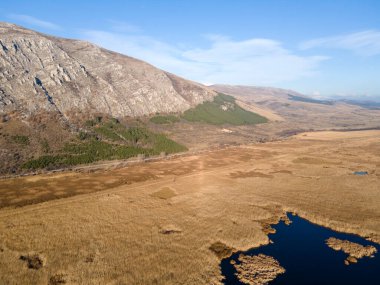 Bulgaristan 'ın Sofya bölgesindeki Dragoman bataklığının havadan sonbahar manzarası