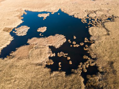 Bulgaristan 'ın Sofya bölgesindeki Dragoman bataklığının havadan sonbahar manzarası
