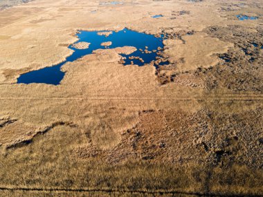 Bulgaristan 'ın Sofya bölgesindeki Dragoman bataklığının havadan sonbahar manzarası