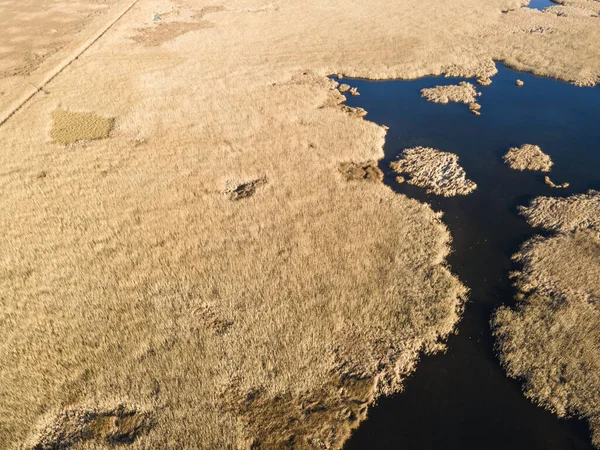 Bulgaristan 'ın Sofya bölgesindeki Dragoman bataklığının havadan sonbahar manzarası