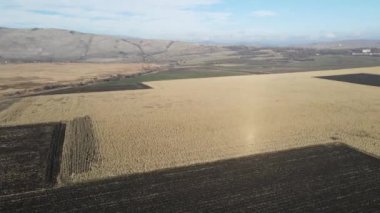 Aldomirovtsi bataklığı yakınlarındaki kırsal arazinin havadan sonbahar manzarası, Sofya bölgesi, Bulgaristan