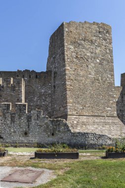 SMEDEREVO, SERBIA - 12 Ağustos 2019: Sırbistan 'ın Smederevo kentindeki Tuna Nehri kıyısındaki Kale Harabeleri