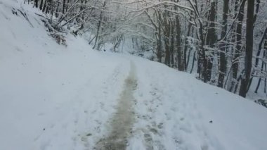 Bulgaristan 'ın Sofya Şehir Bölgesi, Vitosha Dağı' nın Hava Kış Manzarası