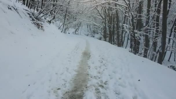 Зимний Вид Высоты Птичьего Полета Гору Витоша Область София Болгария — стоковое видео