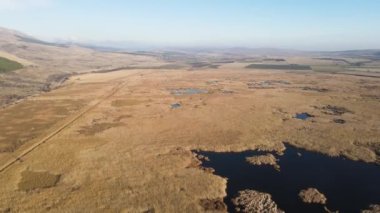 Bulgaristan 'ın Sofya bölgesindeki Dragoman bataklığının havadan sonbahar manzarası