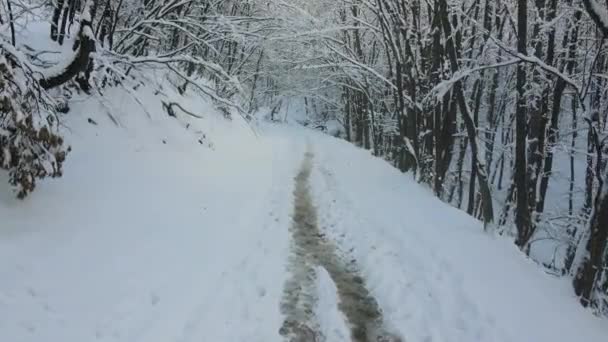 Zimowy Widok Lotu Ptaka Górę Vitosha Obwód Sofijski Bułgaria — Wideo stockowe