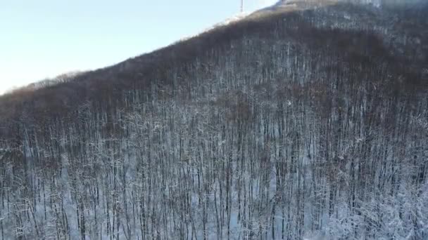 Pemandangan Musim Dingin Udara Gunung Vitosha Wilayah Kota Sofia Bulgaria — Stok Video