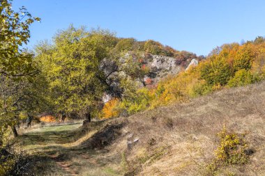 Bulgaristan 'ın Pernik Bölgesi, Kamenititsa zirvesi yakınlarındaki Erul dağının şaşırtıcı sonbahar manzarası
