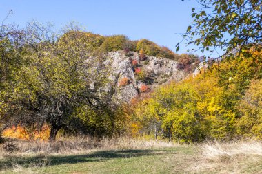 Bulgaristan 'ın Pernik Bölgesi, Kamenititsa zirvesi yakınlarındaki Erul dağının şaşırtıcı sonbahar manzarası