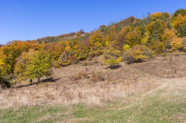 Bulgaristan 'ın Pernik Bölgesi, Kamenititsa zirvesi yakınlarındaki Erul dağının şaşırtıcı sonbahar manzarası