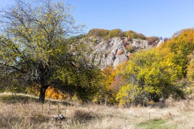 Bulgaristan 'ın Pernik Bölgesi, Kamenititsa zirvesi yakınlarındaki Erul dağının şaşırtıcı sonbahar manzarası