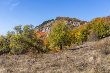 Bulgaristan 'ın Pernik Bölgesi, Kamenititsa zirvesi yakınlarındaki Erul dağının şaşırtıcı sonbahar manzarası