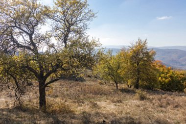 Bulgaristan 'ın Pernik Bölgesi, Kamenititsa zirvesi yakınlarındaki Erul dağının şaşırtıcı sonbahar manzarası