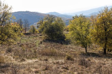 Bulgaristan 'ın Pernik Bölgesi, Kamenititsa zirvesi yakınlarındaki Erul dağının şaşırtıcı sonbahar manzarası