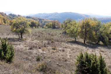 Bulgaristan 'ın Pernik Bölgesi, Kamenititsa zirvesi yakınlarındaki Erul dağının şaşırtıcı sonbahar manzarası