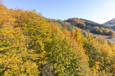 Bulgaristan 'ın Pernik Bölgesi, Kamenititsa zirvesi yakınlarındaki Erul dağının şaşırtıcı sonbahar manzarası