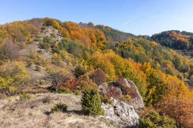 Bulgaristan 'ın Pernik Bölgesi, Kamenititsa zirvesi yakınlarındaki Erul dağının şaşırtıcı sonbahar manzarası