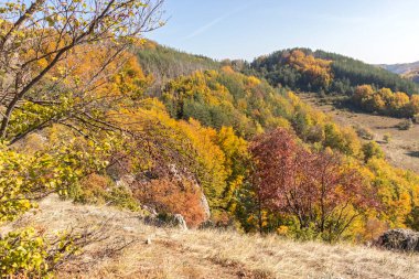 Bulgaristan 'ın Pernik Bölgesi, Kamenititsa zirvesi yakınlarındaki Erul dağının şaşırtıcı sonbahar manzarası
