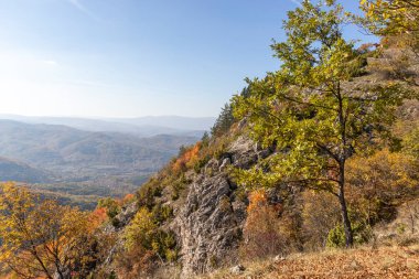 Bulgaristan 'ın Pernik Bölgesi, Kamenititsa zirvesi yakınlarındaki Erul dağının şaşırtıcı sonbahar manzarası