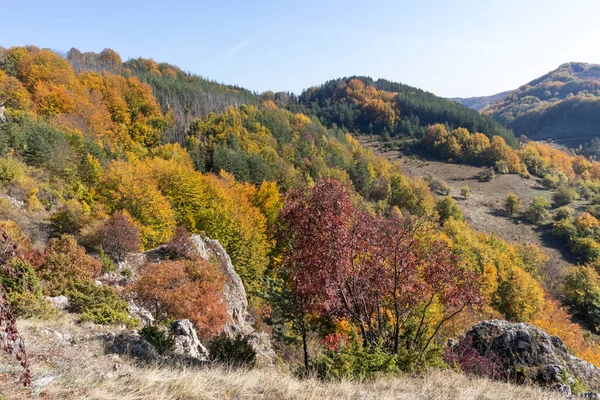 Erstaunliche Herbstlandschaft Des Erul Gebirges Der Nähe Des Kamenititsa Gipfels — Stockfoto
