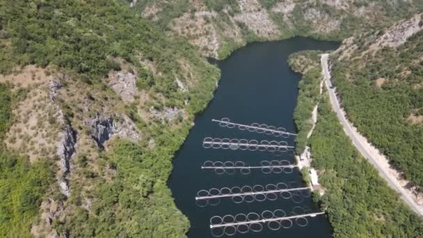 공중에서 Krichim Reservoir Rhodopes Mountain Plovdiv Region Bulgaria — 비디오