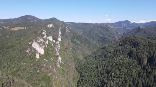 Vista Aérea Garganta Trigrad Las Montañas Rhodope Región Smolyan Bulgaria — Vídeo de stock