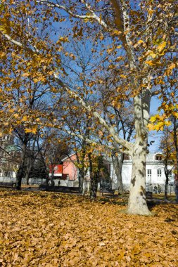 SOFYA, BULGARIA - 11 Kasım 2021: Bulgaristan 'ın Sofya kentinin şaşırtıcı sonbahar manzarası