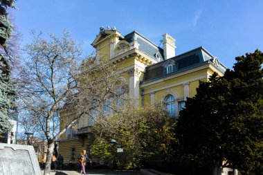 SOFYA, BULGARIA - 11 Kasım 2021: Bulgaristan 'ın Sofya kentinin şaşırtıcı sonbahar manzarası