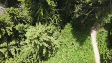 Bulgaristan 'ın Sofya Şehir Bölgesi, Vitosha Dağı' nın havadan yaz manzarası