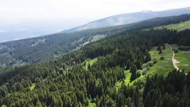 Летний Пейзаж Горы Витоша Софийский Район Болгария — стоковое видео