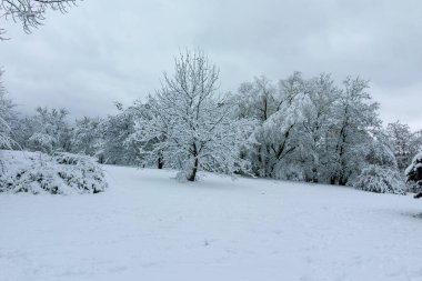 Bulgaristan 'ın Sofya kentindeki South Park' ın şaşırtıcı kış manzarası