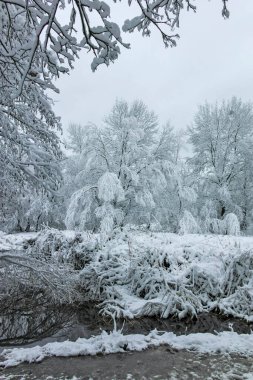 Bulgaristan 'ın Sofya kentindeki South Park' ın şaşırtıcı kış manzarası